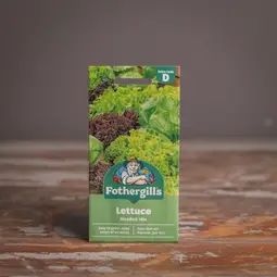 Fræ lettuce headed mix