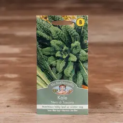 Fræ kale nero di toscana