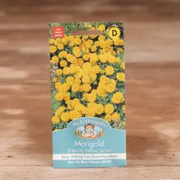 Fræ marigold (french) yellow jacket
