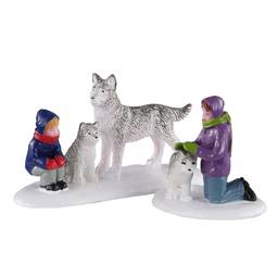 Future sled dogs