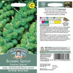 Fræ brussels sprout evesham special