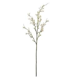Gypsophila 90cm