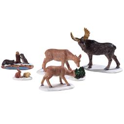 Wild animals, set of 5