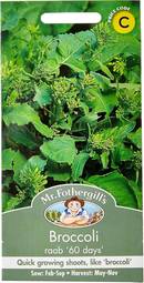 Fræ broccoli raab (60 days)