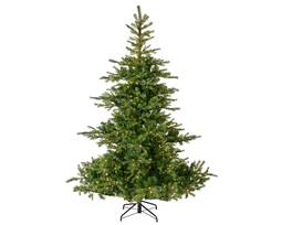 Grandis jólatré 150cm