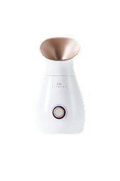 Stylpro Facial Steamer