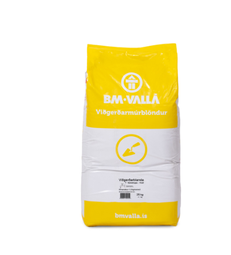 Viðgerðarblanda Fyrir Sjónsteypu 25kg