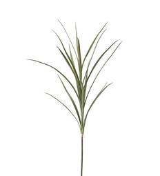 Gras 110cm
