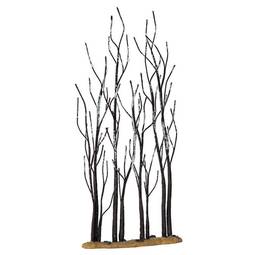 Stand of sycamore