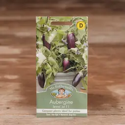 Fræ aubergine jewel jet f1