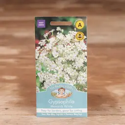 Fræ gypsophila monarch white