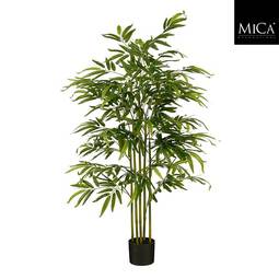 Bamboo Tré Í Potti 150Cm