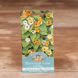 Fræ black eyed susan susie mix