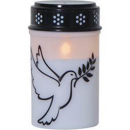 Kerti leiðis