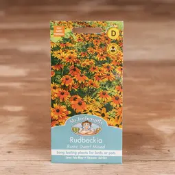 Fræ rudbeckia rustic dwarf mix