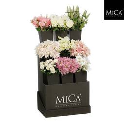 Mica Blóm Spring