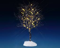 Butternut Tree, Clear Light, B/O (4.5V)