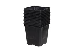 Sáðpottar 11cm 12stk