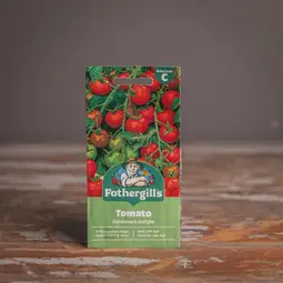 Fræ tomato gardeners delight