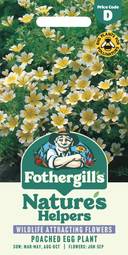 Fræ poached egg plant