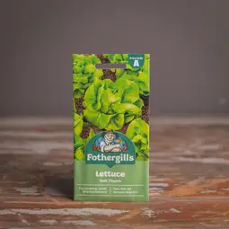 Fræ lettuce tom thumb