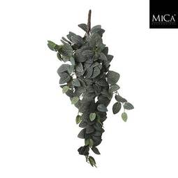 Blóm Fittonia Hengi 15x20x54cm