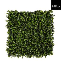 Mica Gras Motta 50X50Cm Eucalyptus