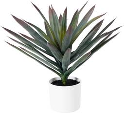 Sisal Planta 50Cm