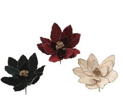 Jólarós (poinsettia) 3 mismunandi litir