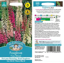 Fræ foxglove foxy mix