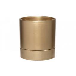 Blómapottur lily Gold 13Cm