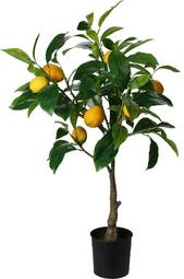 Blóm Lemon 