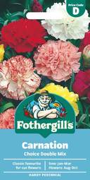 Fræ carnation choice double mix
