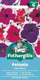 Fræ petunia frost mix f1