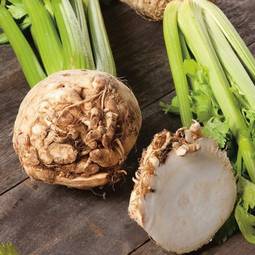 Fræ celeriac neon f1