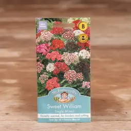 Fræ sweet william single mix