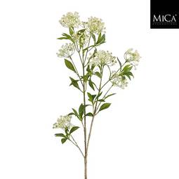 Mica Grein Gypsopphyla 106Cm
