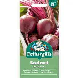 Fræ Beetroot Red River F1