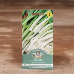 Fræ onion (spring) ishikura