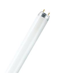 FLUORA T8 36W/77