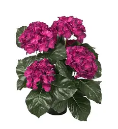 Hortensia 37Cm Vínrauð
