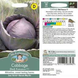 Fræ cabbage (red) romanov f1