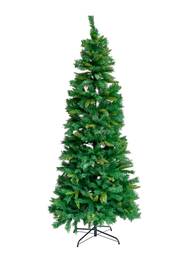 Jólatré Nordic Slim Spruce 210cm