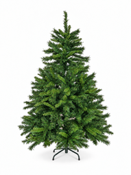 Jólatré Nordic Spruce 210cm