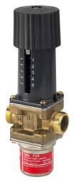 FJV DN20, 20-60°C, kvs: 3.4