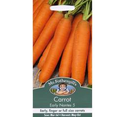 Fræ  Gulrætur -Carrot Early Nantes