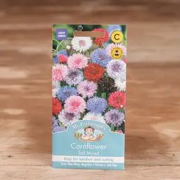 Fræ cornflower tall mix