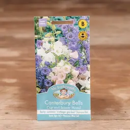 Fræ canterbury bells cup & saucer mix