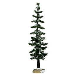 Blue spruce tree, large
