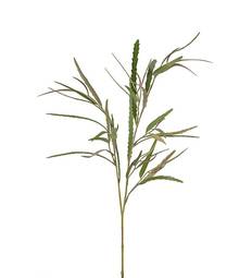 Grevillea 95cm